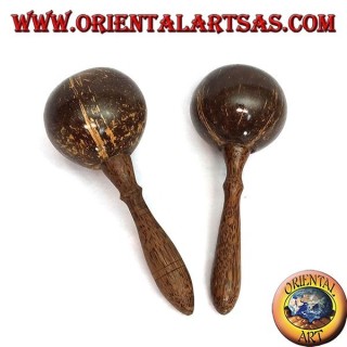 paire de maracas dans la noix de coco