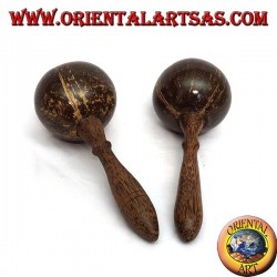 paire de maracas dans la noix de coco