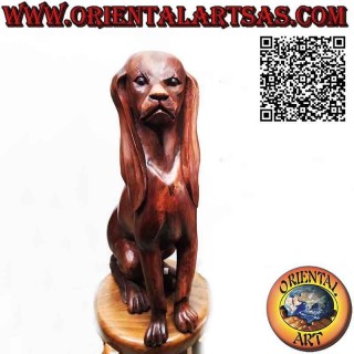 Scultura di un cane segugio seduto in guardia in legno di suar da 63 cm