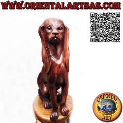 Escultura de madera de suar de 63 cm de un perro sabueso sentado en guardia