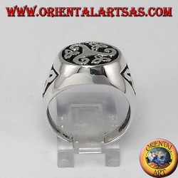 Plata anillo de sello Triskell con nodos Tyrone