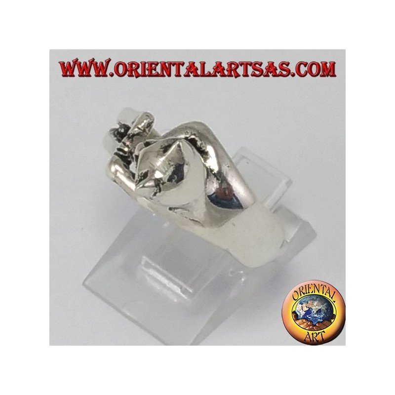 gato anillo de plata