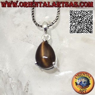 Pendentif en argent avec larme d'oeil de tigre naturel sertie dans des griffes