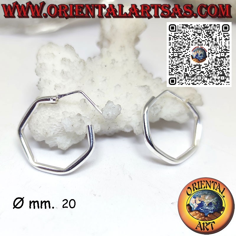 Pendiente tubular hexagonal de plata de 2mm. liso