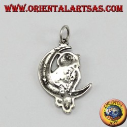 Pendentif argent, hibou sur le croissant