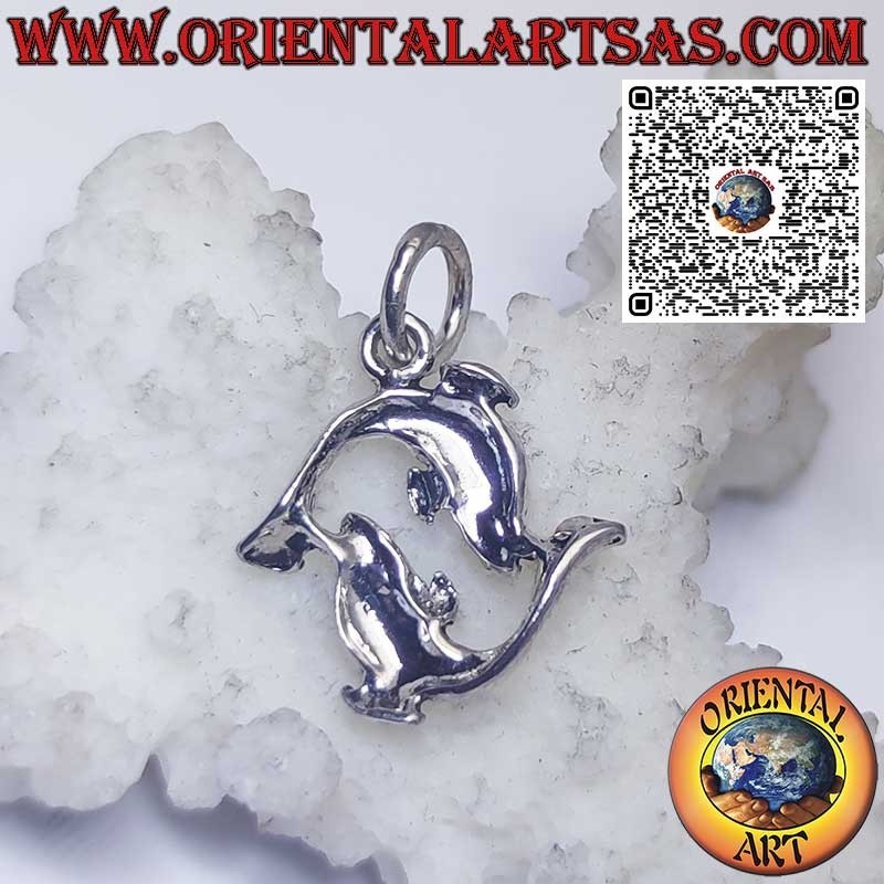 Colgante de plata signos del zodiaco Aries, Tauro, Géminis, Cáncer, Leo, Virgo, Libra, Escorpio, etc.