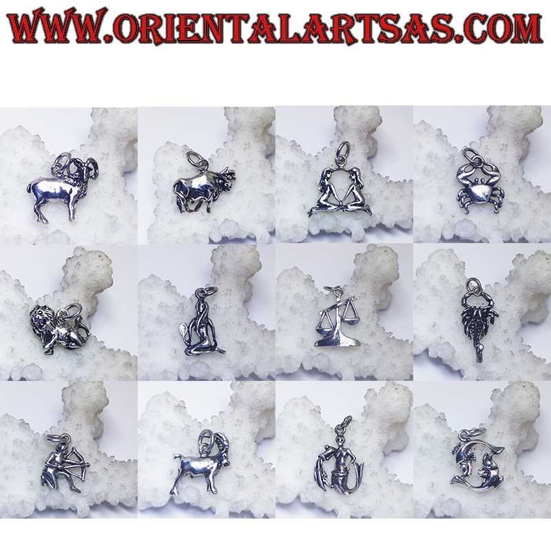 Silver pendant zodiac signs Aries, Taurus, Gemini, Cancer, Leo, Virgo, Libra, Scorpio, etc.