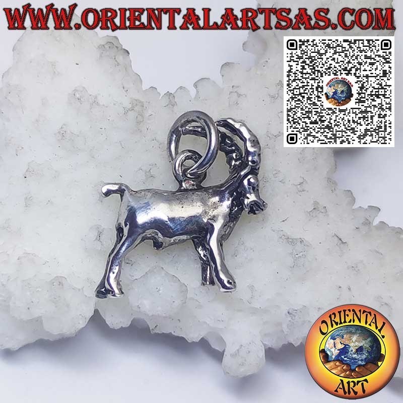 Colgante de plata signos del zodiaco Aries, Tauro, Géminis, Cáncer, Leo, Virgo, Libra, Escorpio, etc.