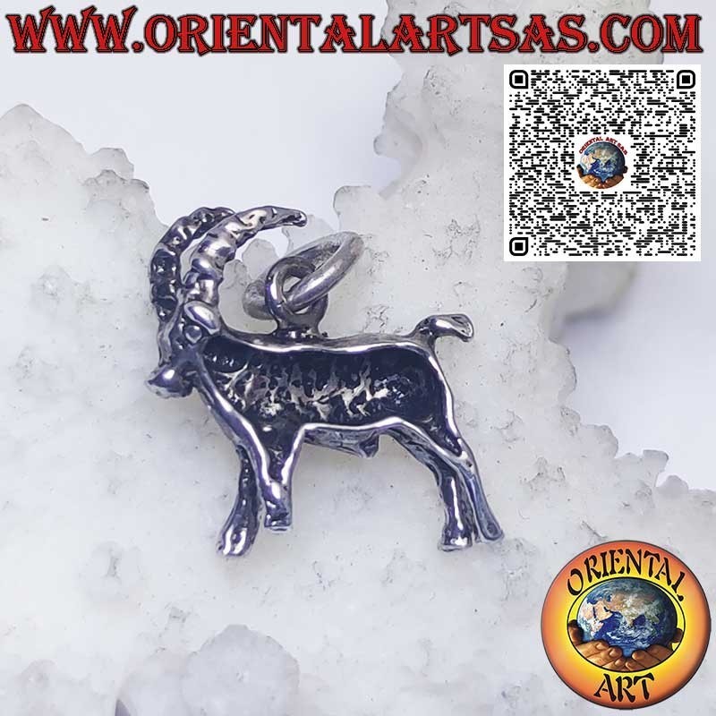 Silberner Anhänger Sternzeichen Widder, Stier, Zwillinge, Krebs, Löwe, Jungfrau, Waage, Skorpion usw.
