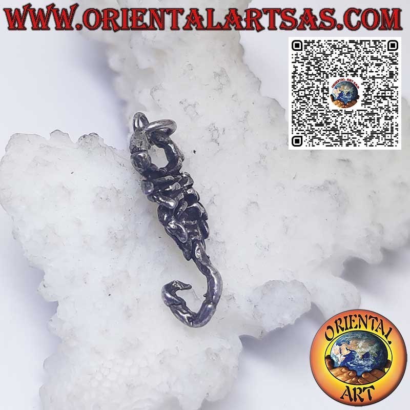 Pendentif en argent signes du zodiaque Bélier, Taureau, Gémeaux, Cancer, Lion, Vierge, Balance, Scorpion, etc.