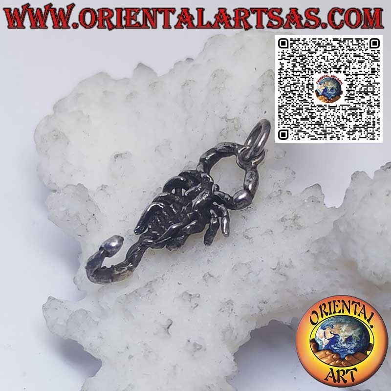 Silver pendant zodiac signs Aries, Taurus, Gemini, Cancer, Leo, Virgo, Libra, Scorpio, etc.