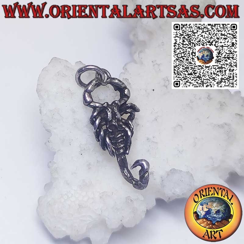 Ciondolo in argento segni zodiacali Ariete, Toro, Gemelli, Cancro, Leone, Vergine, Bilancia, Scorpione, ecc.