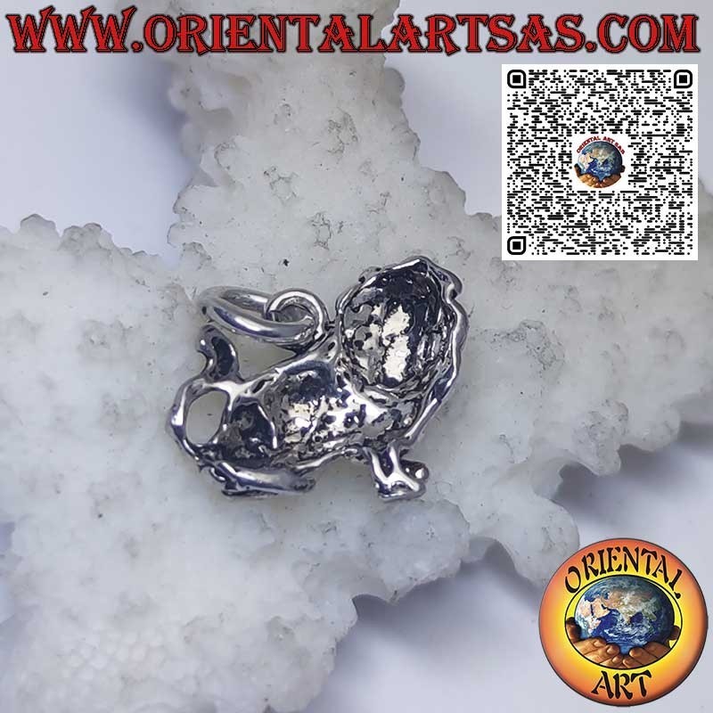 Silver pendant zodiac signs Aries, Taurus, Gemini, Cancer, Leo, Virgo, Libra, Scorpio, etc.