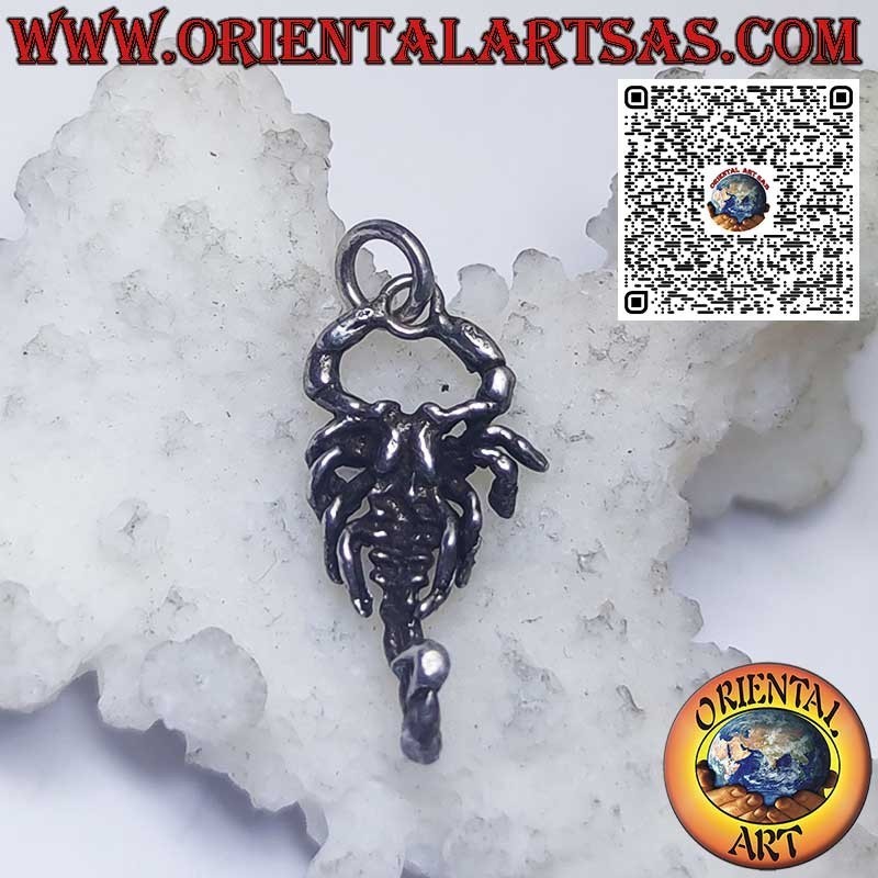 Silver pendant zodiac signs Aries, Taurus, Gemini, Cancer, Leo, Virgo, Libra, Scorpio, etc.