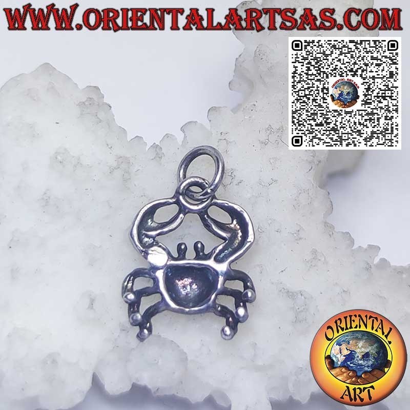 Colgante de plata signos del zodiaco Aries, Tauro, Géminis, Cáncer, Leo, Virgo, Libra, Escorpio, etc.