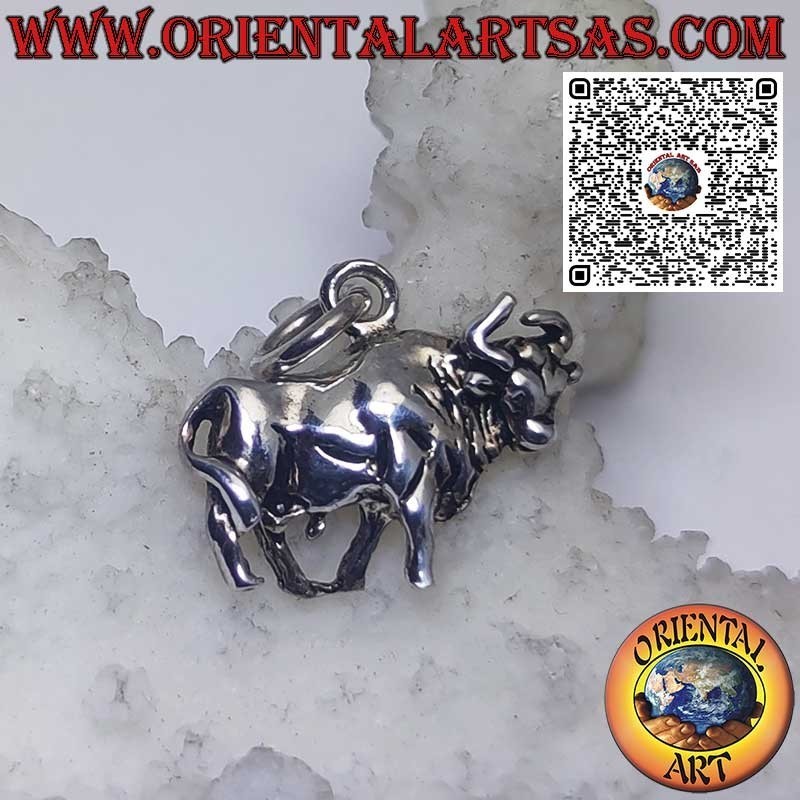 Silberner Anhänger Sternzeichen Widder, Stier, Zwillinge, Krebs, Löwe, Jungfrau, Waage, Skorpion usw.