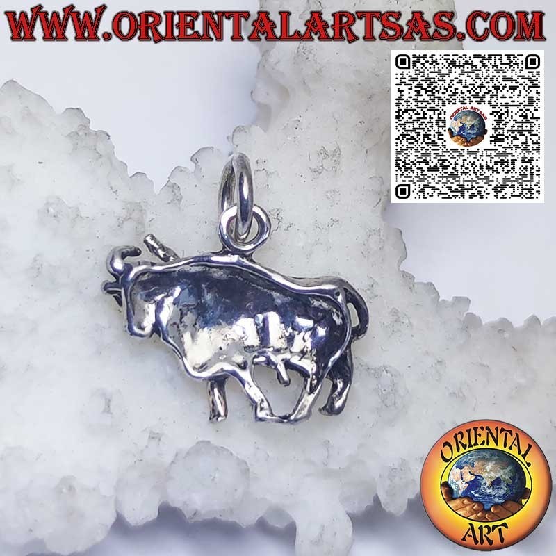 Silver pendant zodiac signs Aries, Taurus, Gemini, Cancer, Leo, Virgo, Libra, Scorpio, etc.
