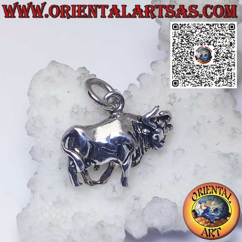 Colgante de plata signos del zodiaco Aries, Tauro, Géminis, Cáncer, Leo, Virgo, Libra, Escorpio, etc.