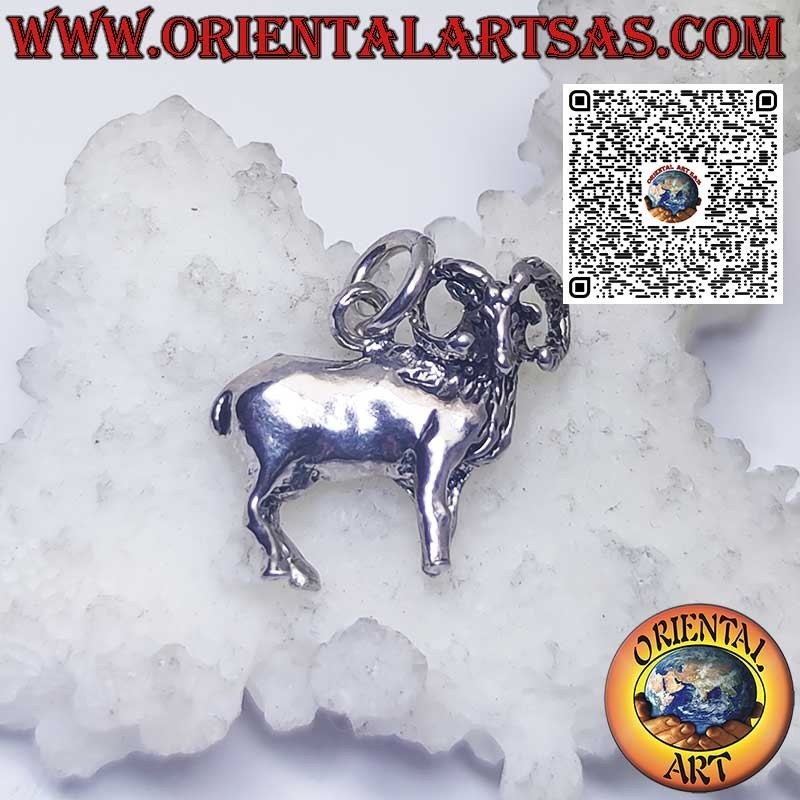 Ciondolo in argento segni zodiacali Ariete, Toro, Gemelli, Cancro, Leone, Vergine, Bilancia, Scorpione, ecc.
