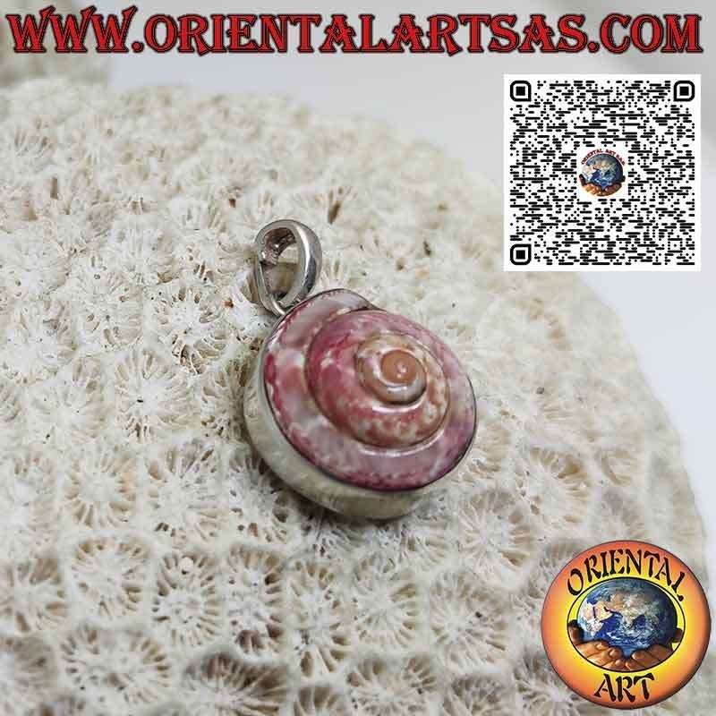 Silberanhänger mit rosa Nautilus astrea in glatter Fassung