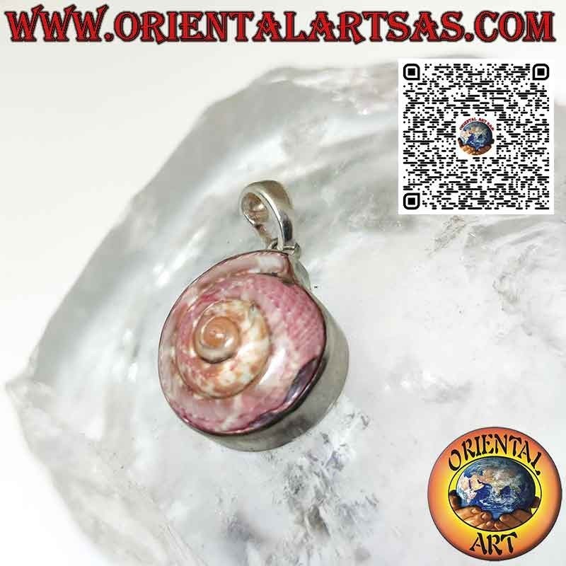 Pendentif en argent avec nautile astrea rose dans un serti lisse