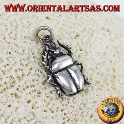 escarabajo colgante de plata