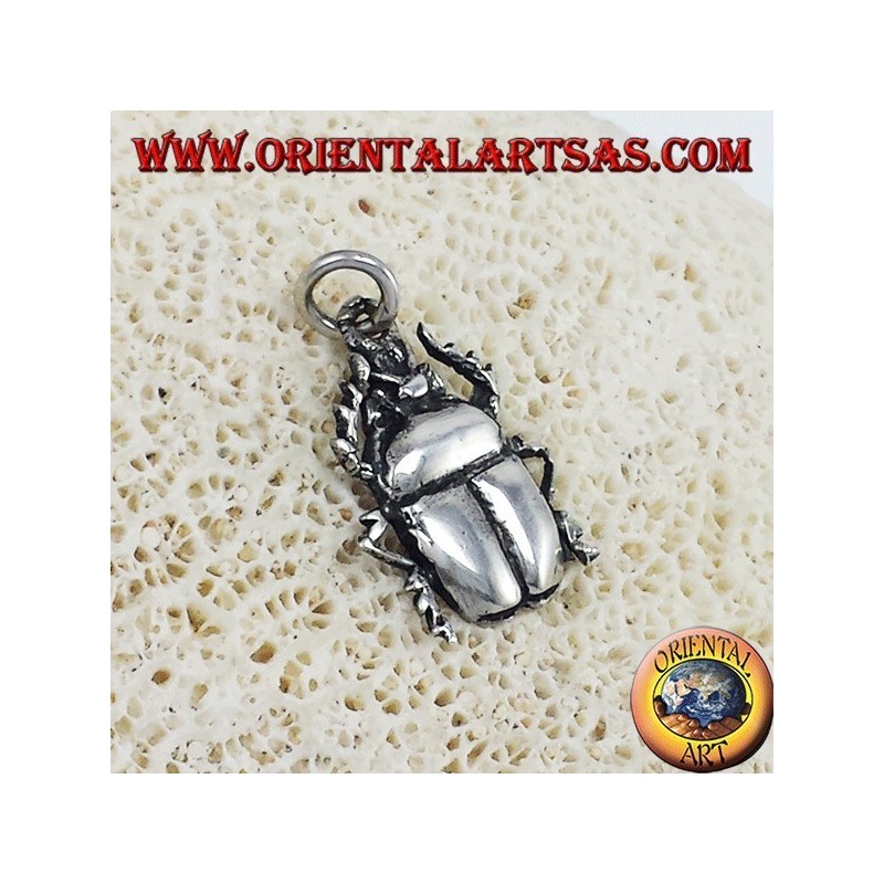 Silver beetle pendant