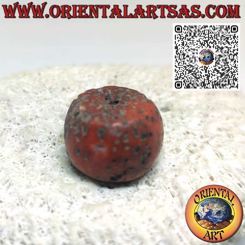 Raro Fossile Corallo Tibetano Antico Autentico Cilindro | Oriental Art