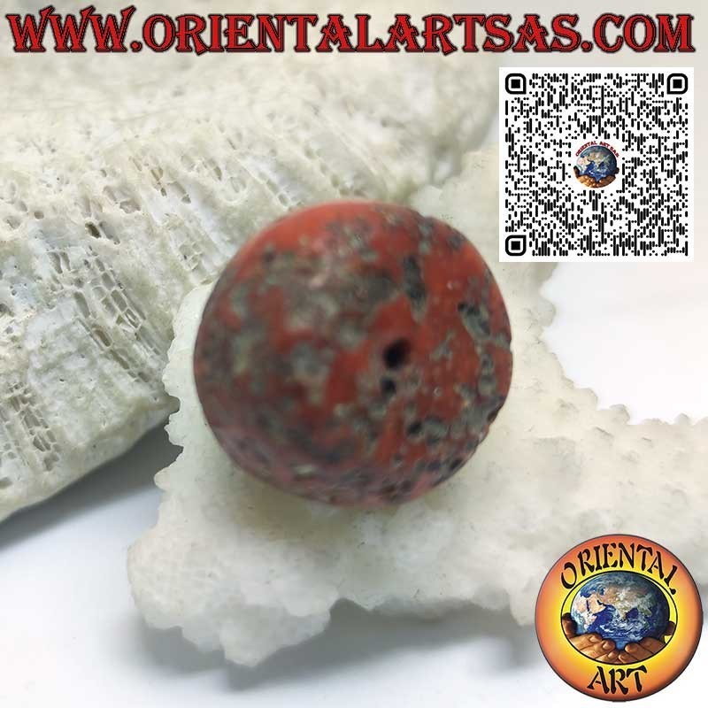 Cilindro Coral Tibetano Antiguo | Fósil Raro y Auténtico
