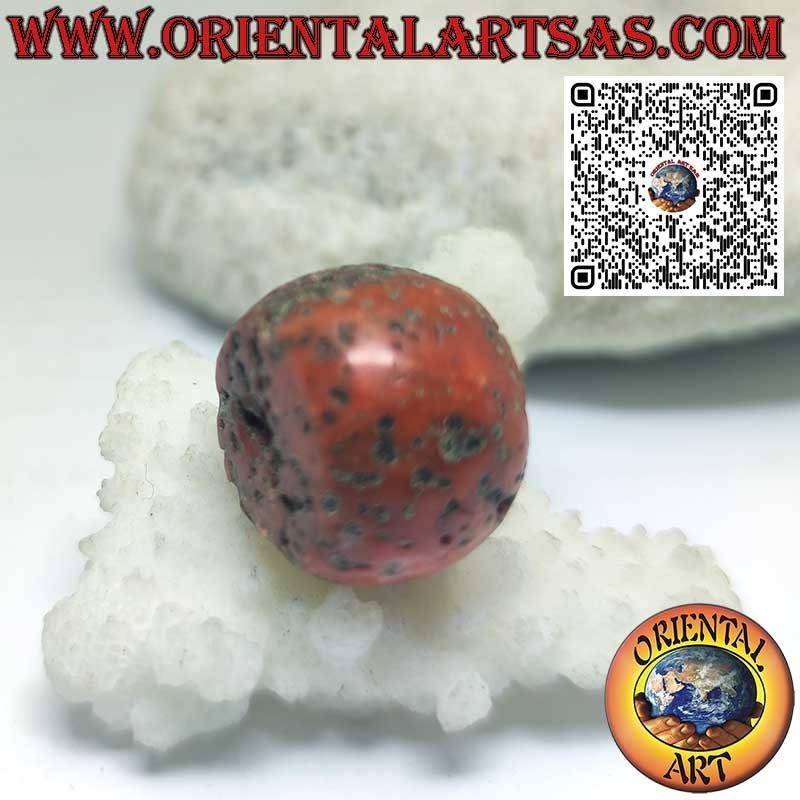 Cilindro Coral Tibetano Antiguo | Fósil Raro y Auténtico