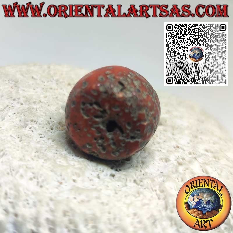 Corail Tibétain Ancien & Rare | Fossile Authentique Naturel