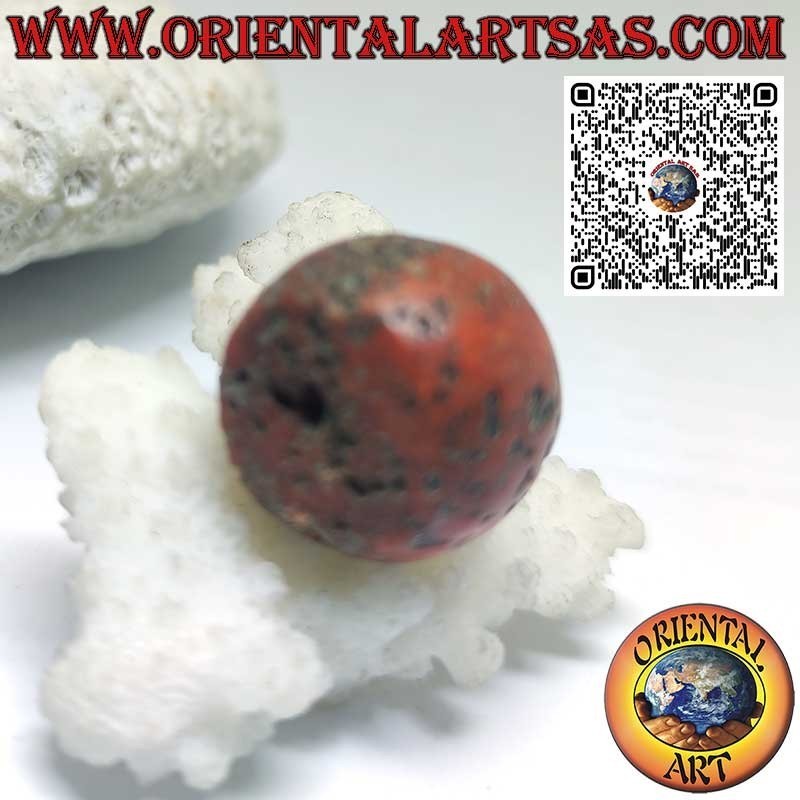 Cilindro Coral Tibetano Antiguo | Fósil Raro y Auténtico