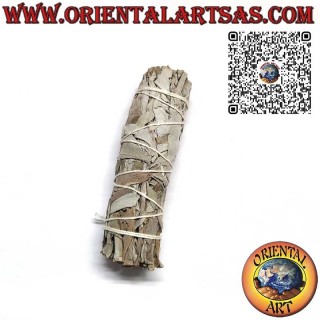 Incienso Chamánico – Smudge de Salvia Blanca de California, 30 g, 11×3 cm