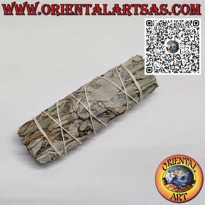 Encens Chamanique – Smudge de Sauge Blanche de Californie, 30 g, 11×3 cm