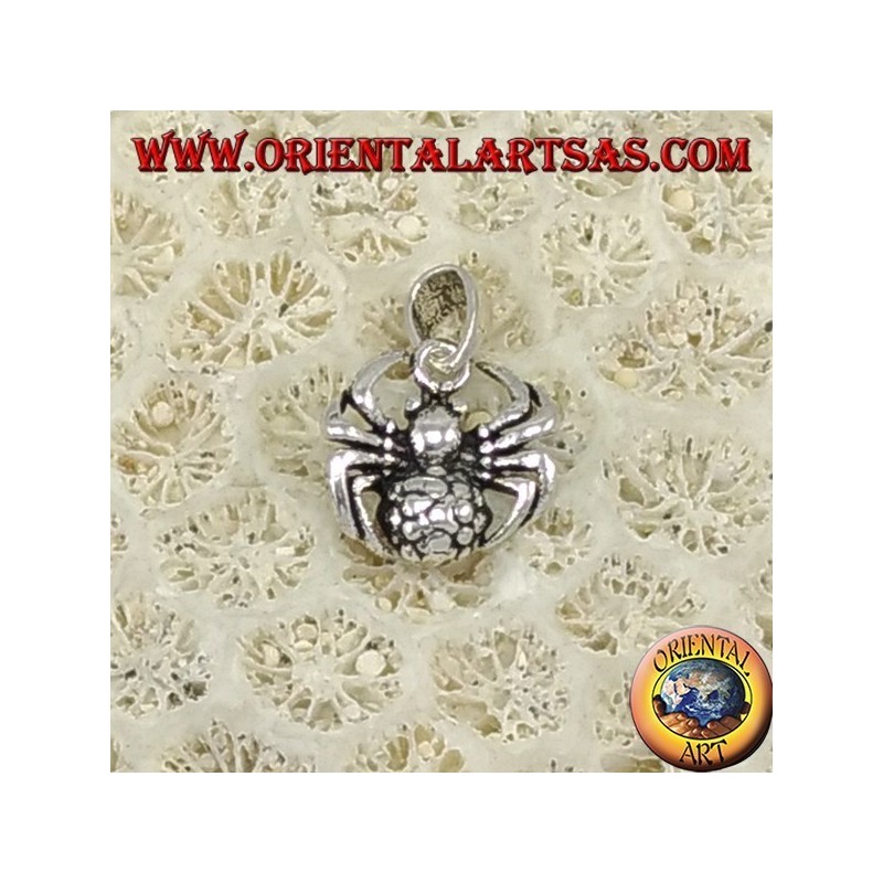 Silber-Anhänger, Tarantulaspinne
