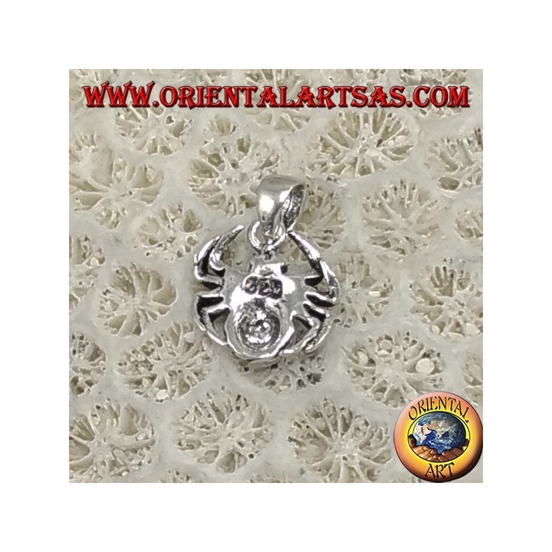 Silver pendant, spider tarantula