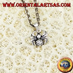 Silver pendant, spider tarantula