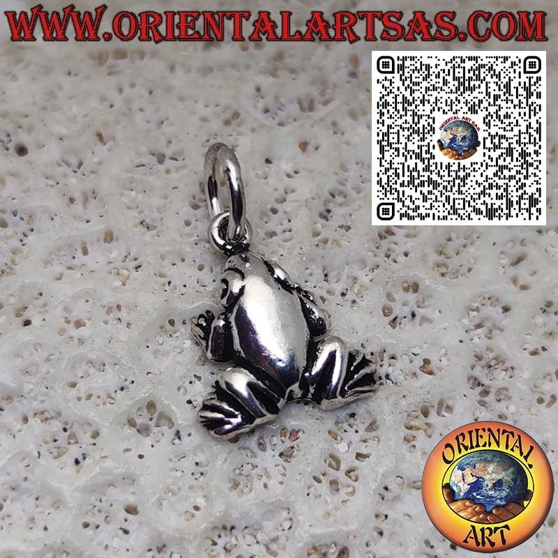 Colgante de plata de ley 925 – Pequeña rana/sapo liso, amuleto de la suerte y símbolo de transformación