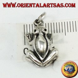Colgante tridimensional de la rana de plata