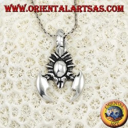 Colgante de plata, escorpión