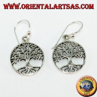 Boucles d'oreilles arbre celtique argent