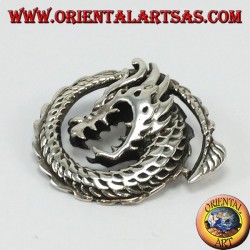 Colgante de dragón espiral de plata,