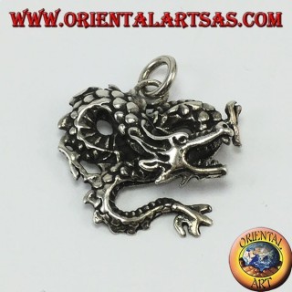Colgante de plata, dragón retorcido