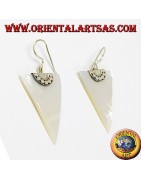 B d'O. Nacre, Madrepora et Abalone