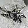 P. Volatiles and Birds