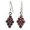 Garnet Earrings