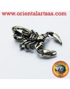 Colgantes en plata 925 ‰ signos del zodiaco y letras iniciales